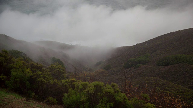 雾从海洋吹向海岸山坡视频素材