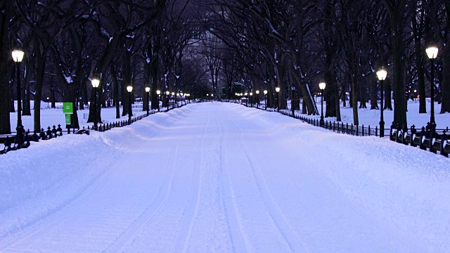 昨晚林荫大道被严重的冬季暴风雪乔纳斯所覆盖。黎明时分，街灯照亮了白雪覆盖的购物中心。视频素材