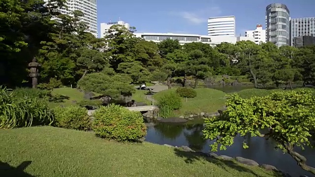 九芝离休花园， 东京视频素材