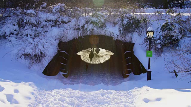 人们和狗穿过大桥隧道，这是被大雪包裹在昨晚严重的冬季暴风雪乔纳斯。早晨的阳光照亮了白雪覆盖的桥和桥上的一个慢跑者。视频素材