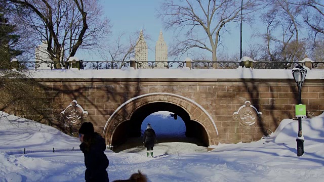 女人和狗穿过桥隧道，这是被大雪包裹的严重冬季暴风雪乔纳斯在昨晚。早晨的阳光照亮了白雪覆盖的桥和在桥上慢跑的人。视频素材