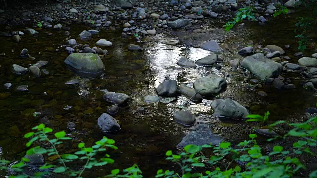 河岸视频素材