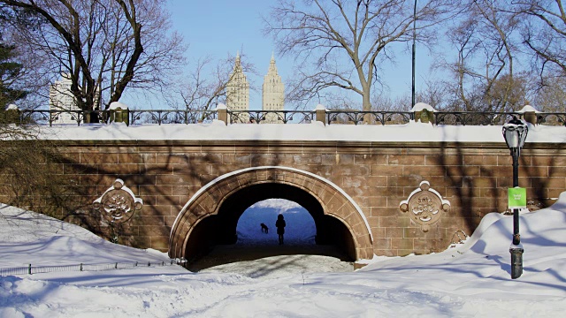 女人和狗穿过桥隧道，这是被大雪包裹的严重冬季暴风雪乔纳斯在昨晚。早晨的阳光照亮了白雪覆盖的桥和在桥上慢跑的人。视频素材