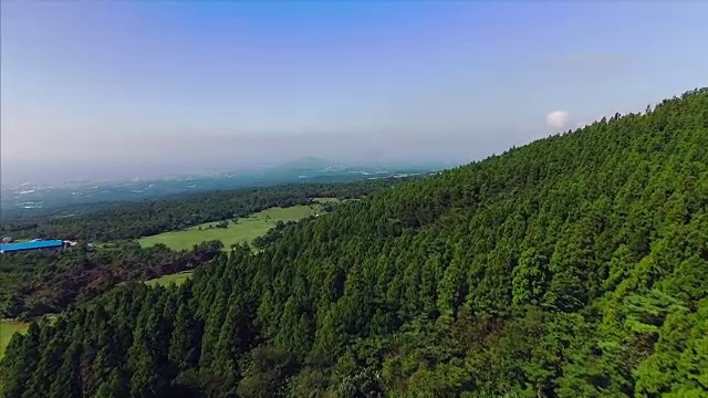 济州岛的绿色森林概览视频素材