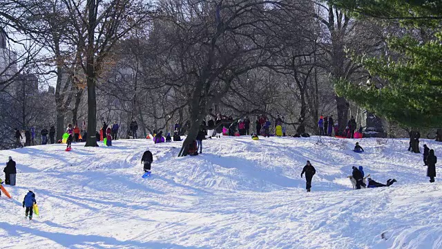 人们喜欢在中央公园的雪山上玩雪橇。视频素材