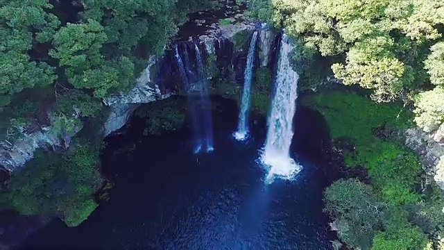 济州岛暖温带森林天池渊瀑布鸟瞰图(韩国自然保护区379)视频素材