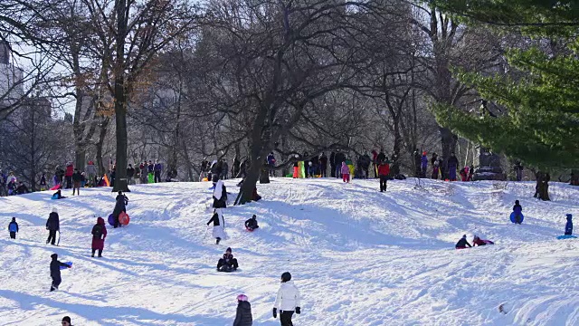 人们喜欢在中央公园的雪山上玩雪橇。视频素材