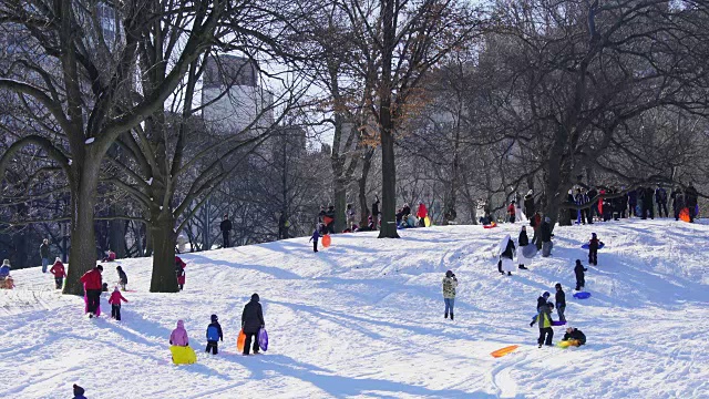 人们喜欢在中央公园的雪山上玩雪橇。视频素材