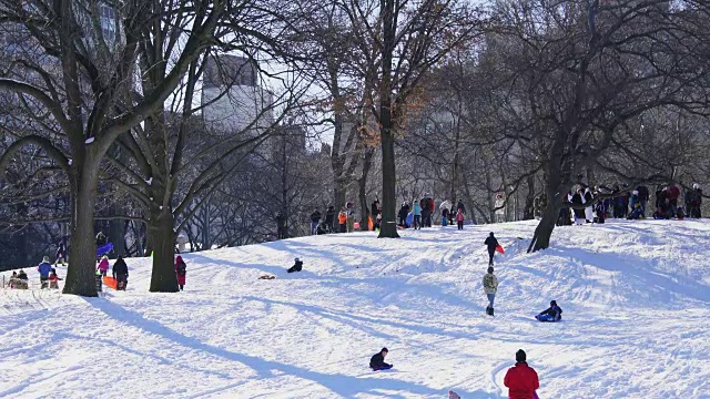 人们喜欢在中央公园的雪山上玩雪橇。视频素材