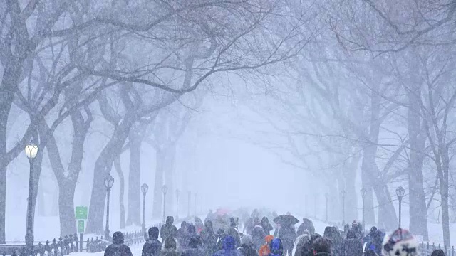 傍晚，在严重的冬季暴风雪乔纳斯期间，人们在中央公园购物中心散步。视频素材