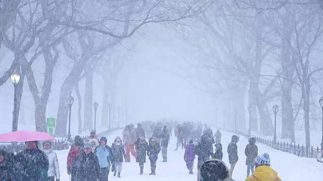 傍晚，在严重的冬季暴风雪乔纳斯期间，人们在中央公园购物中心散步。视频素材