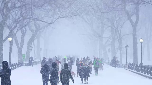 傍晚，在严重的冬季暴风雪乔纳斯期间，人们在中央公园购物中心散步。视频素材