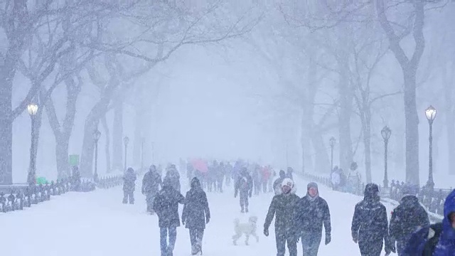 傍晚，在严重的冬季暴风雪乔纳斯期间，人们在中央公园购物中心散步。视频素材