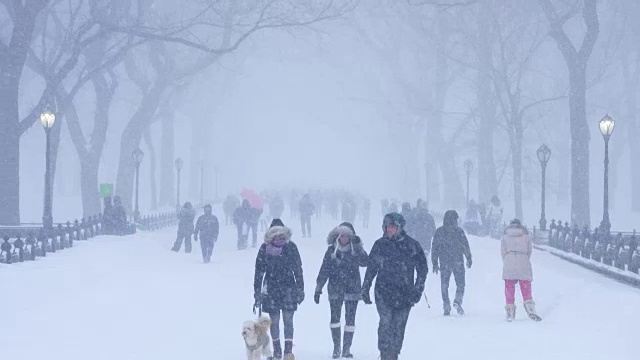 傍晚，在严重的冬季暴风雪乔纳斯期间，人们在中央公园购物中心散步。视频素材