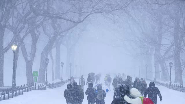 傍晚，在严重的冬季暴风雪乔纳斯期间，人们在中央公园购物中心散步。视频素材