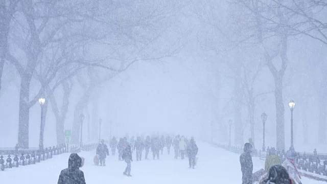 傍晚，在严重的冬季暴风雪乔纳斯期间，人们在中央公园购物中心散步。视频素材