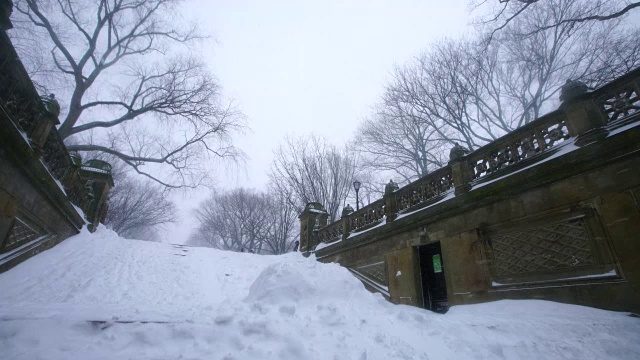 在贝塞斯达露台中央公园，巨浪被严重的冬季暴风雪乔纳斯完全覆盖。视频素材