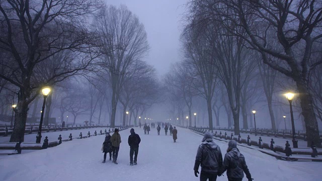 在严重的冬季暴风雪乔纳斯期间，人们走在中央公园购物中心。黄昏时，街灯照亮了白雪覆盖的购物中心。视频素材