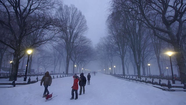 在严重的冬季暴风雪乔纳斯期间，人们走在中央公园购物中心。黄昏时，街灯照亮了白雪覆盖的购物中心。视频素材