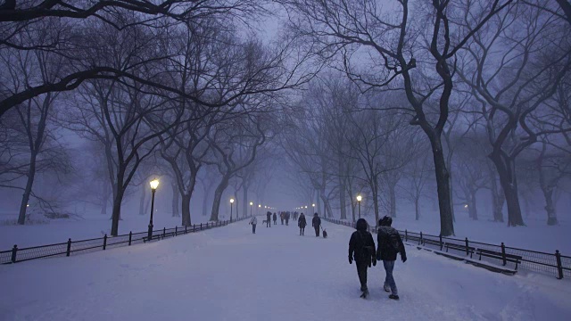 在严重的冬季暴风雪乔纳斯期间，人们走在中央公园购物中心。黄昏时，街灯照亮了白雪覆盖的购物中心。视频素材