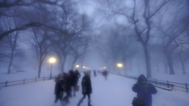 在严重的冬季暴风雪乔纳斯期间，人们走在中央公园购物中心。黄昏时，街灯照亮了白雪覆盖的购物中心。视频素材