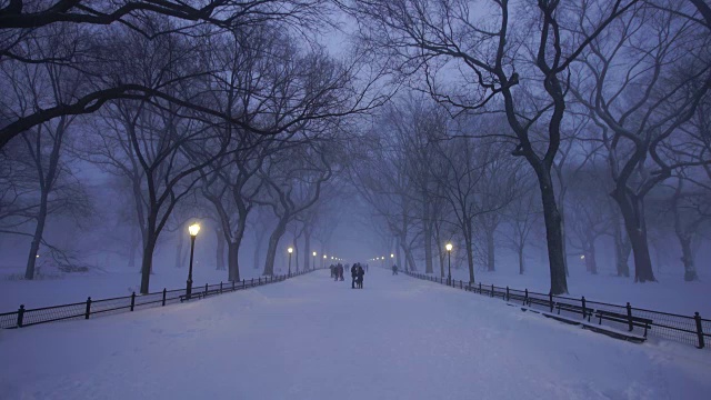 在严重的冬季暴风雪乔纳斯期间，人们走在中央公园购物中心。黄昏时，街灯照亮了白雪覆盖的购物中心。视频素材