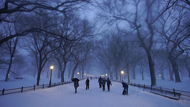 在严重的冬季暴风雪乔纳斯期间，人们走在中央公园购物中心。黄昏时，街灯照亮了白雪覆盖的购物中心。视频素材