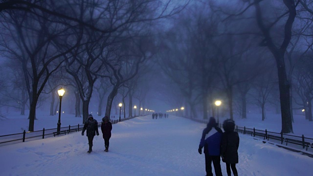 在严重的冬季暴风雪乔纳斯期间，人们走在中央公园购物中心。黄昏时，街灯照亮了白雪覆盖的购物中心。视频素材