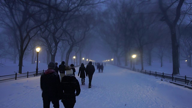 在严重的冬季暴风雪乔纳斯期间，人们走在中央公园购物中心。黄昏时，街灯照亮了白雪覆盖的购物中心。视频素材