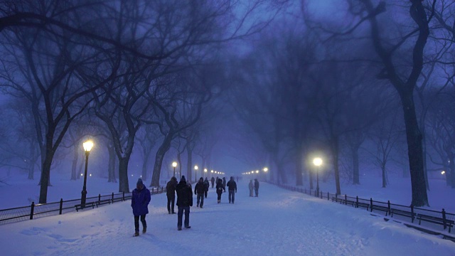 在严重的冬季暴风雪乔纳斯期间，人们走在中央公园购物中心。黄昏时，街灯照亮了白雪覆盖的购物中心。视频素材