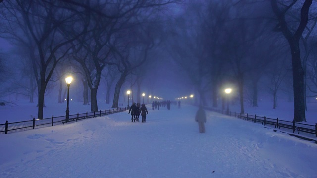 在严重的冬季暴风雪乔纳斯期间，人们走在中央公园购物中心。黄昏时，街灯照亮了白雪覆盖的购物中心。视频素材