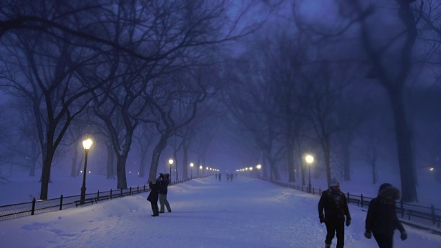 在严重的冬季暴风雪乔纳斯期间，人们走在中央公园购物中心。黄昏时，街灯照亮了白雪覆盖的购物中心。视频素材