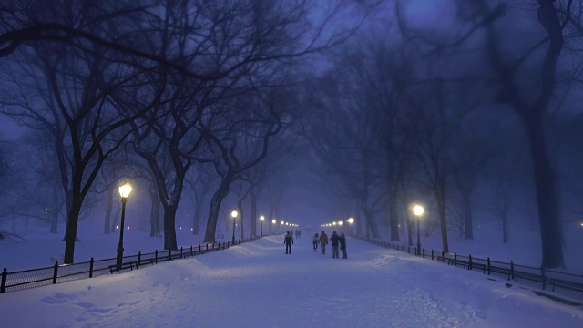 在严重的冬季暴风雪乔纳斯期间，人们走在中央公园购物中心。黄昏时，街灯照亮了白雪覆盖的购物中心。视频素材