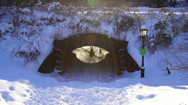 人和狗穿过桥隧道，这是被大雪包裹在昨晚严重的冬季暴风雪乔纳斯。早晨的阳光照亮了白雪覆盖的桥和在桥上慢跑的人。视频素材