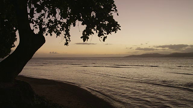 夕阳西下，海浪在平静的海面上翻腾，左边岸上的树的剪影视频素材