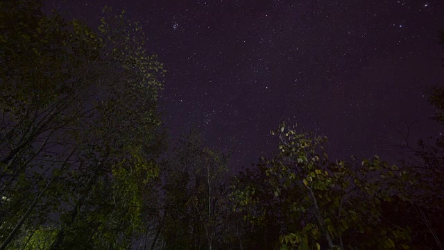 天体摄影在森林上空用干树留下的星迹。视频素材