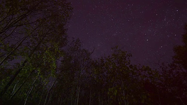 天体摄影在森林上空用干树留下的星迹。视频素材