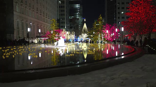 盐湖城圣诞节从雪倾斜视频素材