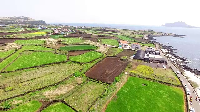 风吹过乌多岛的青大麦田视频素材