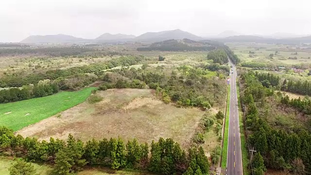 森林景观和单车道道路视频素材