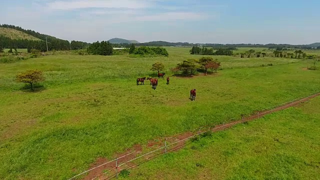 有一群马的Isidolmokjang农场景观视频素材