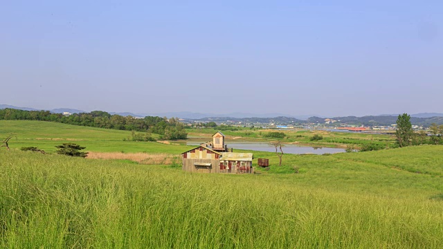 安城农田里的房子和树视频素材