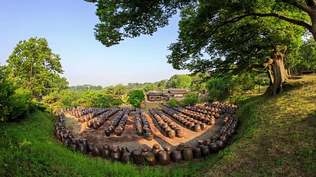 Jang Dok(韩国传统的酱汁和调味品罐)在明载老屋视频素材