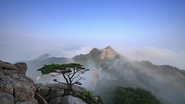 新仙台崖云海和道峰山松树景观视频素材