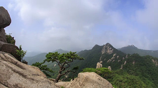 道峰山的新仙台悬崖和松树景观视频素材