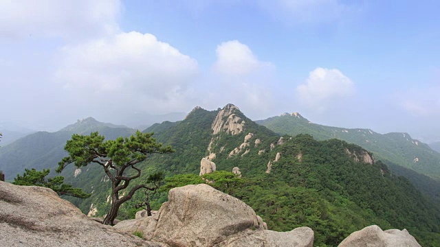 道峰山的新仙台悬崖和松树景观视频素材