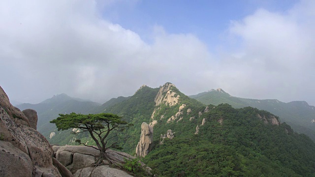 道峰山的新仙台悬崖和松树景观视频素材