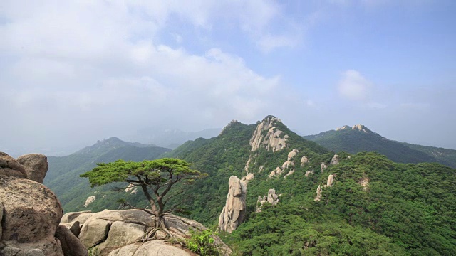 道峰山的新仙台悬崖和松树景观视频素材