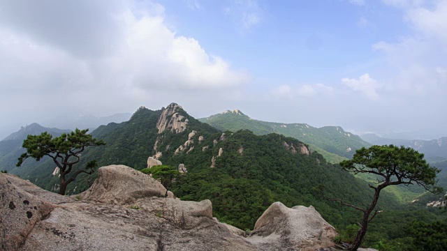 道峰山新仙台悬崖松树景观视频素材