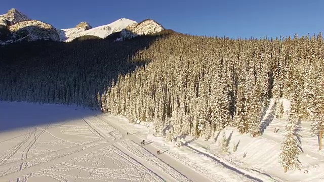 班夫国家公园的森林和路易斯湖的雪景视频素材